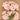 FLOWER FOAM ROSE 12H PINK 1BCH