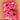 FLOWER FOAM ROSE 12H HOT PINK 1BCH