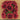 FLOWER FOAM ROSE 12H RED 1BCH
