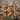 WOOD DIY TREES 10PC