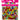 BEAD VP 14MM FACET DNUT BRIGHT ASST 125G