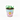 SEED POTS BIO PAINT YOUR OWN 30PC