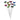 BUTTERFLY SPRING STEMS ASST 10PC
